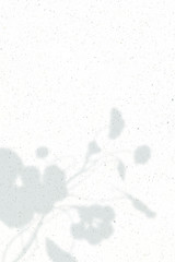 Floral shadow on white marble background vector
