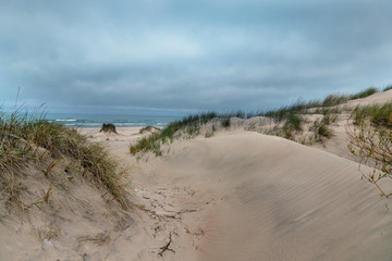 Baltic sea dunes , Liepaja, Latvia.