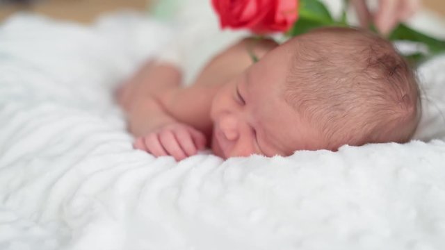 Cute little newborn baby girl sleeping in a dream