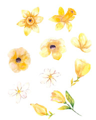 Watercolor illustration.