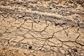 Dry soil outdoors, closeup view