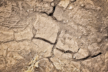 Dry soil outdoors, top view