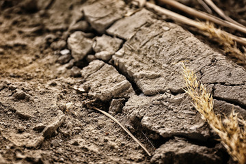 Dry soil outdoors, closeup view