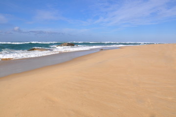France, côte Aquitaine, magnifique plage de sable  du cap Ferret côté océan Atlantique avec des blockhaus immergés à la dérive.