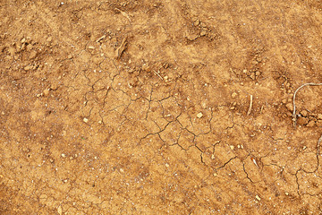 Dry soil outdoors, top view
