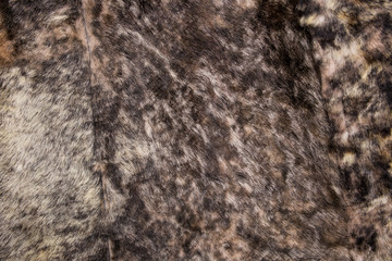 Fur texture close up. Fur on winter women's clothing.