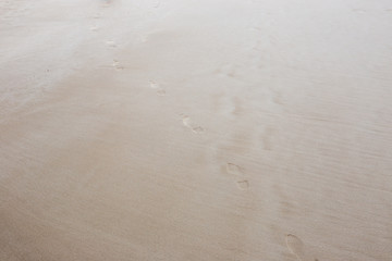 The texture of sea sand closeup.
