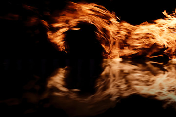 Bright fire flames in the shape of a horse reflected in the mirror. Nature power and energy. Concept of fire and wild nature