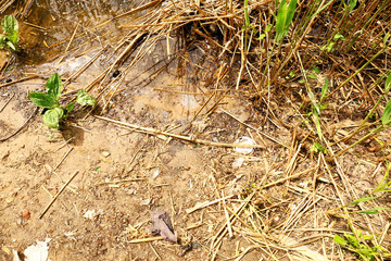 View of garbage near river outdoors. Concept of soil pollution