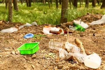 Obraz premium View of garbage in park. Concept of soil pollution