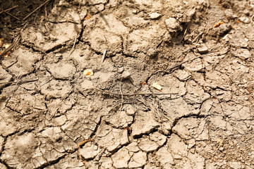 Dry soil outdoors, closeup view