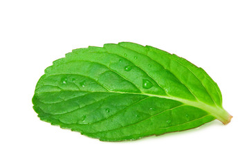 Obraz premium Fresh mint leaves isolated on white background. top view