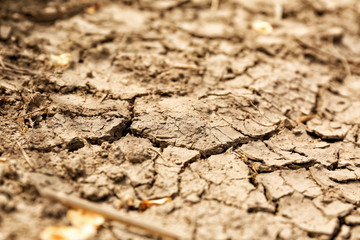 Dry soil outdoors, closeup view