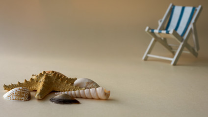 An empty chaise longue and a seashell . Summer concept, tourism, pandemic, coronavirus