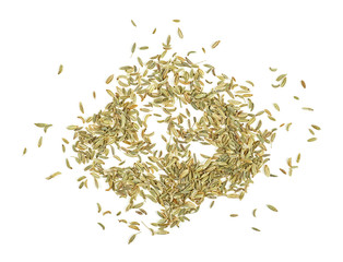 Dried fennel seeds isolated on a white background. Fresh indian spice. Top view.