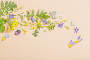 wild flowers on paper  background