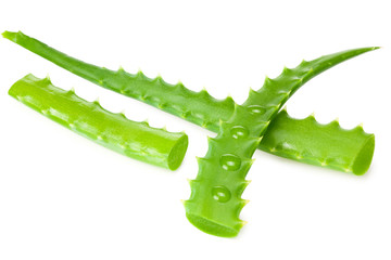 Naklejka premium Aloe vera with slices isolated on a white background
