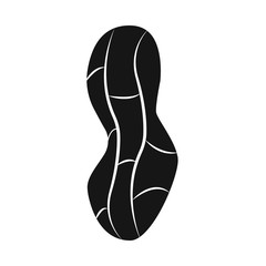 Vector illustration of peanut and shell symbol. Collection of peanut and pod stock symbol for web.