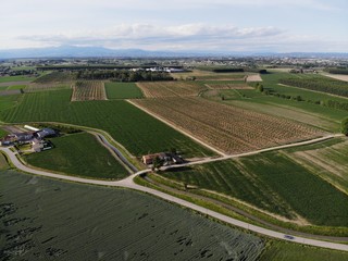 aerial, aerial landscape, agriculture, alcoholic, autumn, backgroun, beverage, castle, country, countryside, cultivated, drink, europe, event, farm, farmer, farming, field, food, grape, grape