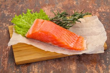 Piece of raw salmon
