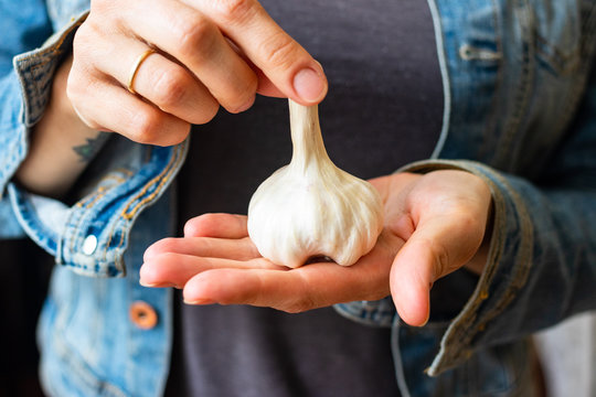 Whole garlic hold in woman hands