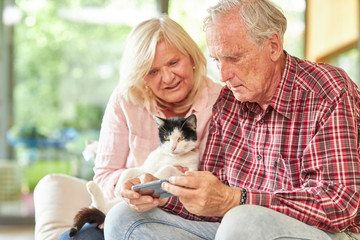 Senioren Paar mit Katze schaut auf eine SMS
