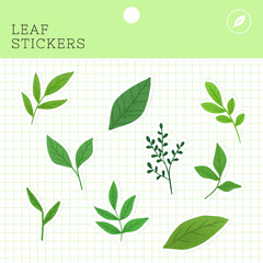 Leaf stickers package vector