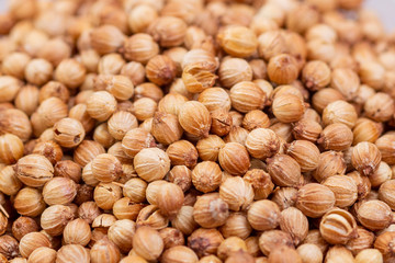 Top view coriander spice texture. Macro photo