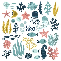 Abwaschbare Fototapete Meeresleben Unterwasserwelt-Set von Elementen, Meeresozean, süße Mollusken, Korallen-Medusa-Pflanzen und Fische, Vektorillustration