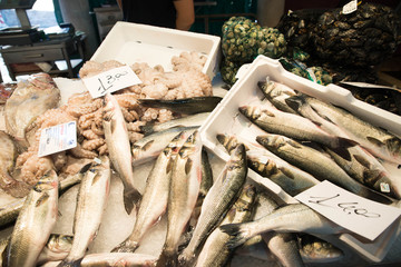 Fish market in Venice, Italy