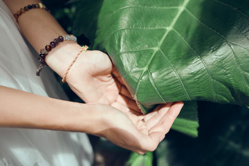     girl's hands on a background of greenery     