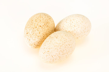 Three big raw turkey egg