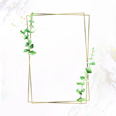 Hand drawn eucalyptus leaf with rectangle gold frame vector