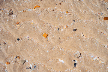 Copy space of sand beach texture abstract background.