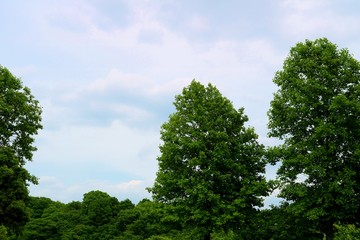 新緑　爽やか　空　風景　栃木