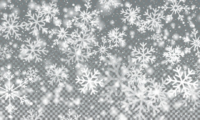 Snow Transparent Background. Vector. Snow Flakes.