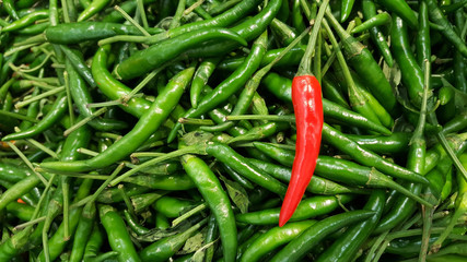 Red chili pepper on green chili peppers background