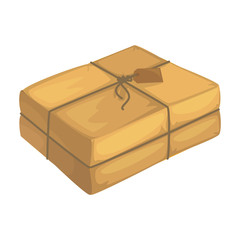 Package vector icon.Cartoon vector icon isolated on white background package.