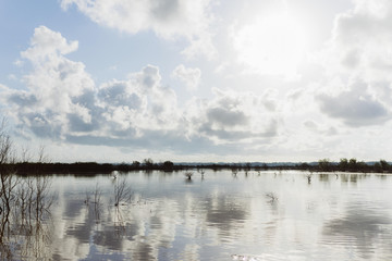 Fluslandschaft in Kenia, Afrika