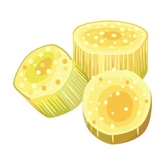 Slice sugar cane vector icon.Cartoon vector icon isolated on white background slice sugar cane.