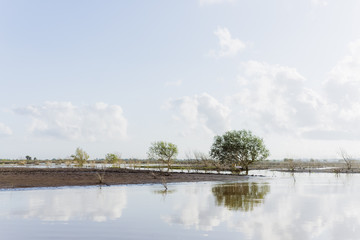 Fluslandschaft in Kenia, Afrika