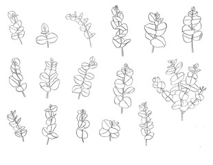 Black set of eucaliptus leaves branch. Floristic design elements for floristics. Hand drawn illustration. Greeting card.
