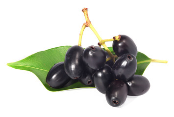 Jambolan plum, ripe fruit or fresh Java plum Bushy on green leaves Dark purple plum, natural light. Syzygium cumini isolated on a white background.