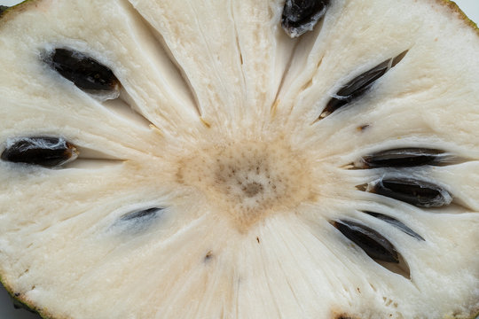 A piece of tropical fruit soursop or annona muricata, close up