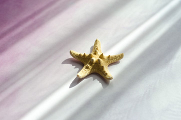 Fototapeta na wymiar golden star christmas decoration
