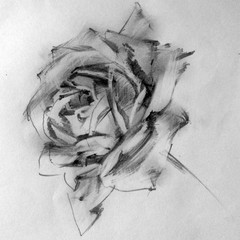 Pencil drawing hand background . Single exotic  rose flower .Floral pattern