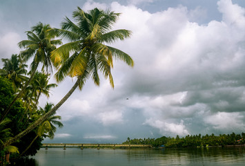 Fototapeta na wymiar Monsoon clouds in Kerala