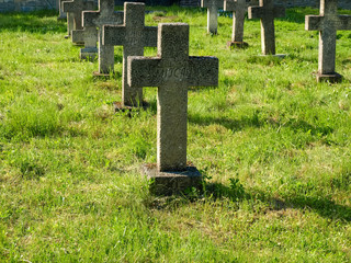 Crosses on graves of those killed in First World War