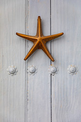 estrella de mar