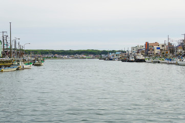 三崎港に係留する漁船